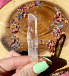 Lemurian Point 3