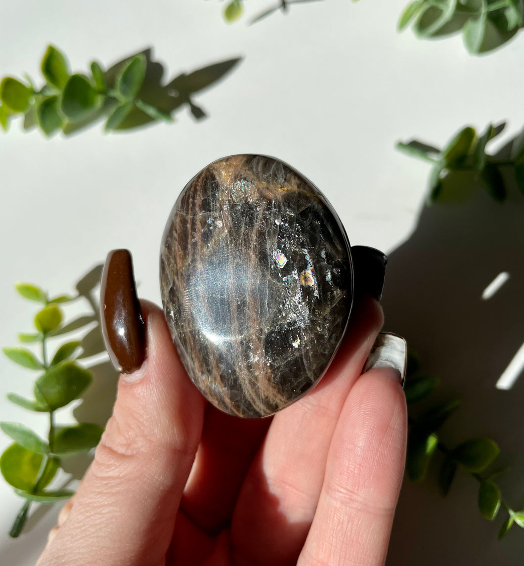 Black Moonstone Palm stone 1