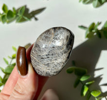 Load image into Gallery viewer, Black Moonstone Palm stone 5
