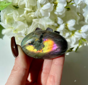 Labradorite Plamstone 6