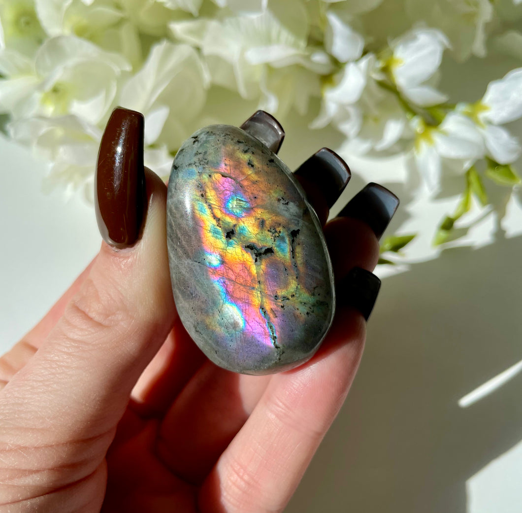 Labradorite Plamstone 9