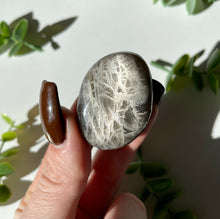 Load image into Gallery viewer, Black Moonstone Palm stone 4
