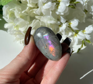 Labradorite Plamstone 9