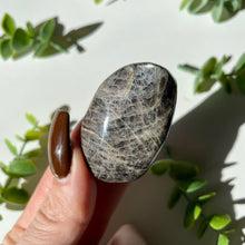 Load image into Gallery viewer, Black Moonstone Palm stone 5
