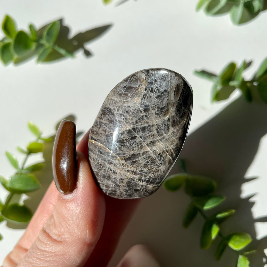 Black Moonstone Palm stone 5